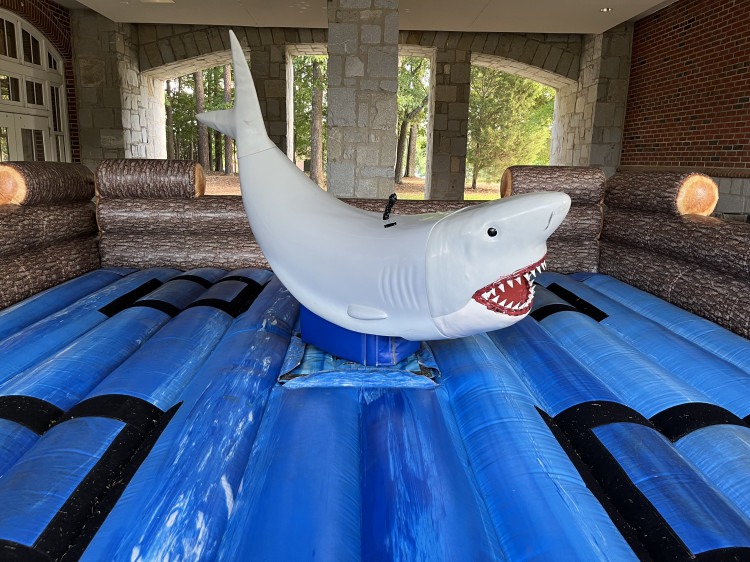 Mechanical Shark Rental !!