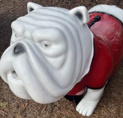 Mechanical Bulldog Rental